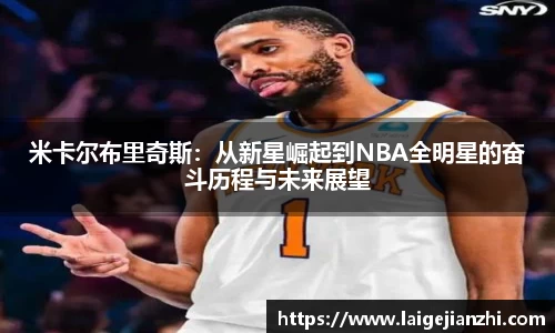 jn江南体育官网